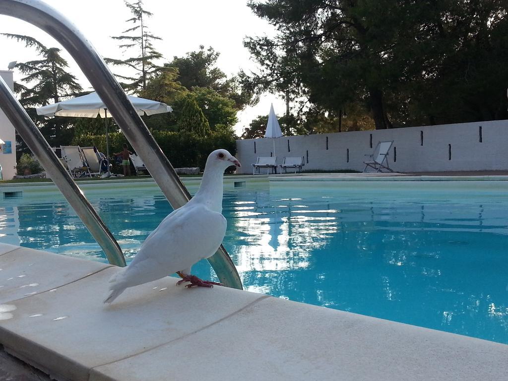 La Ferula Bed&pool *
